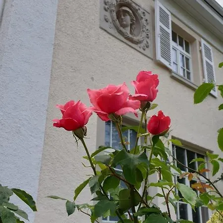 Апартаменты Lilienmatt *