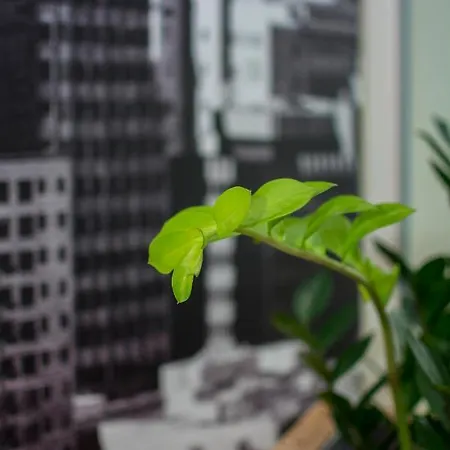 Апартаменты Lilienmatt *