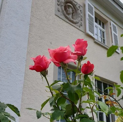 Apartament Lilienmatt *